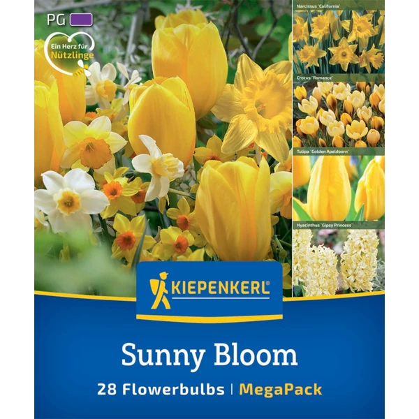 kiepenkerl sunny bloom sárga virághagyma összeállítás