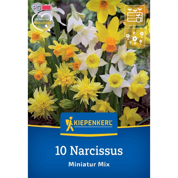 kiepenkerl miniatur mix nárcisz virághagymák