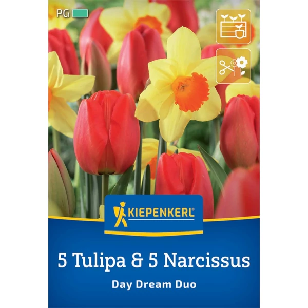 kiepenkerl day dream duo nárcisz és tulipán virághagymák