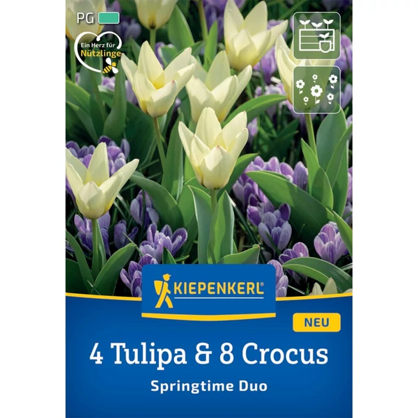 kiepenkerl springtime-duo tulipán/krókusz virághagyma összeállítás megapack