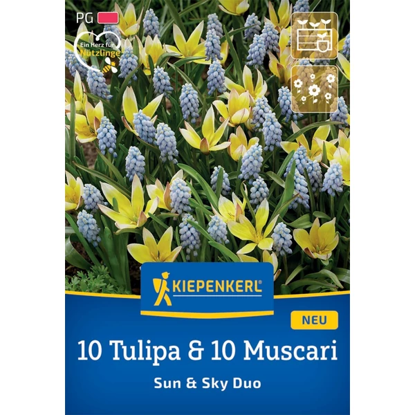 tulipán és gyöngyike virághagyma keverék