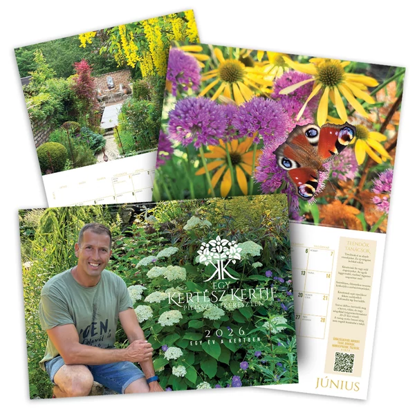 Szomoru Miklós 2026-ös falinaptár