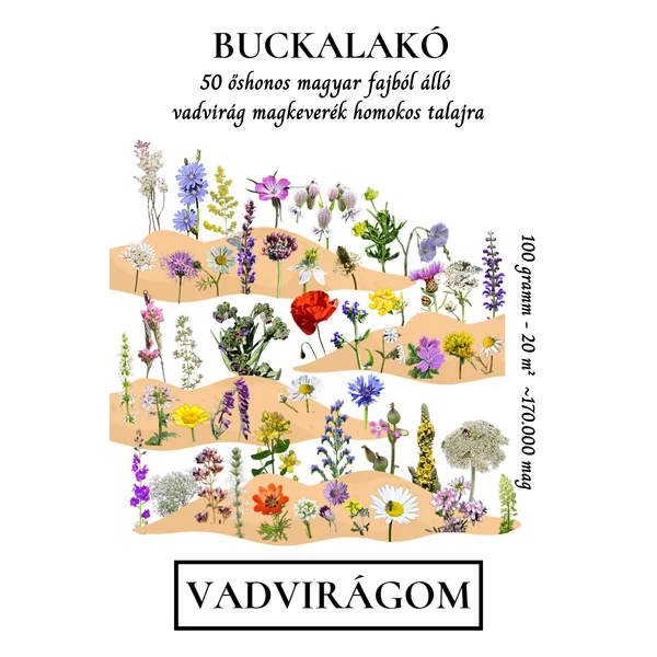 Buckalakó virágmagkeverék homokos talajra