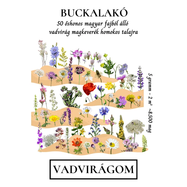 Buckalakó virágmagkeverék homokos talajra
