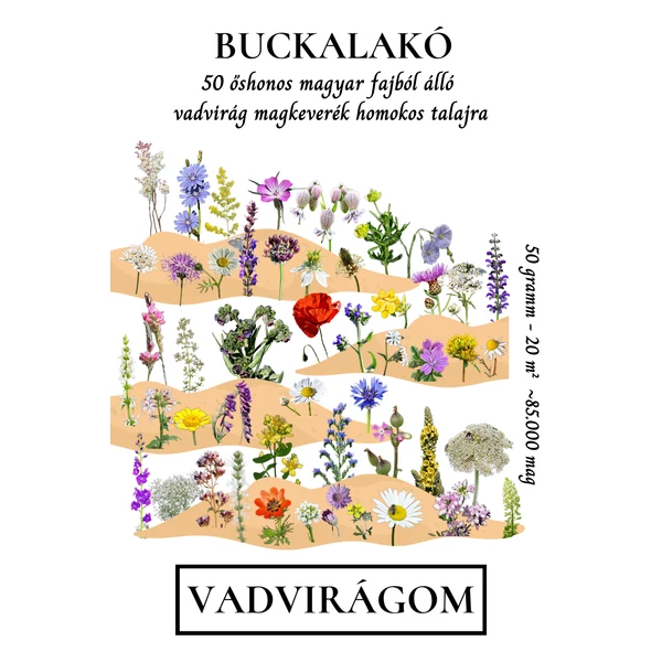 Buckalakó virágmagkeverék homokos talajra