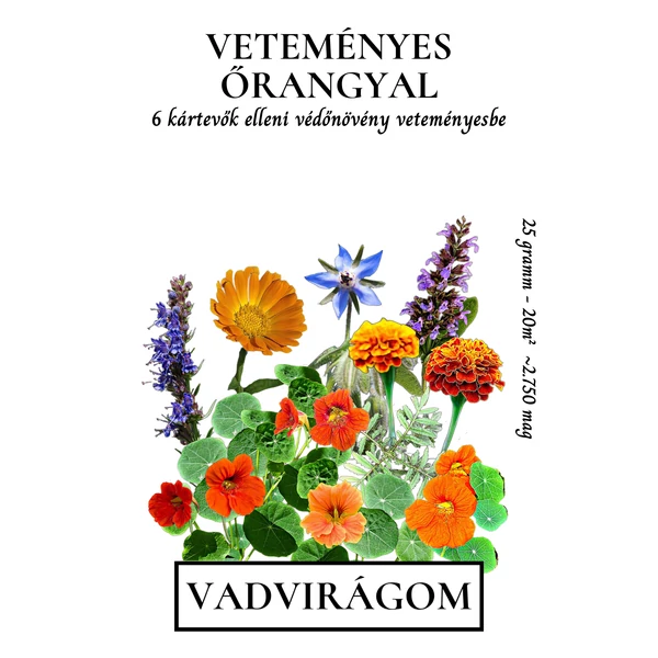VETEMÉNYES ŐRANGYAL – magkeverék veteményesbe 5 gr