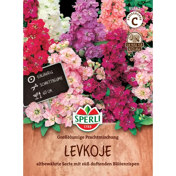 Sperli levkoje nagyvirágú nyári viola