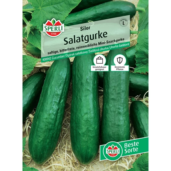 sperli silor salátauborka vetőmag