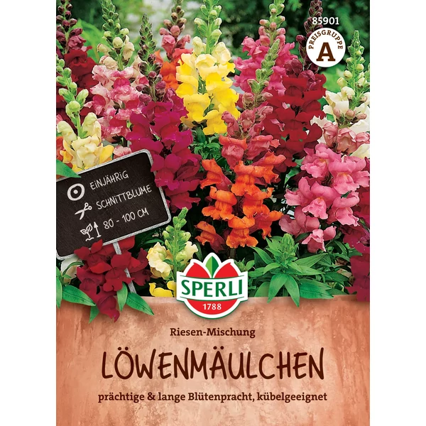 Sperli Löwenmäulchen óriás termetű oroszlánszáj virágmag