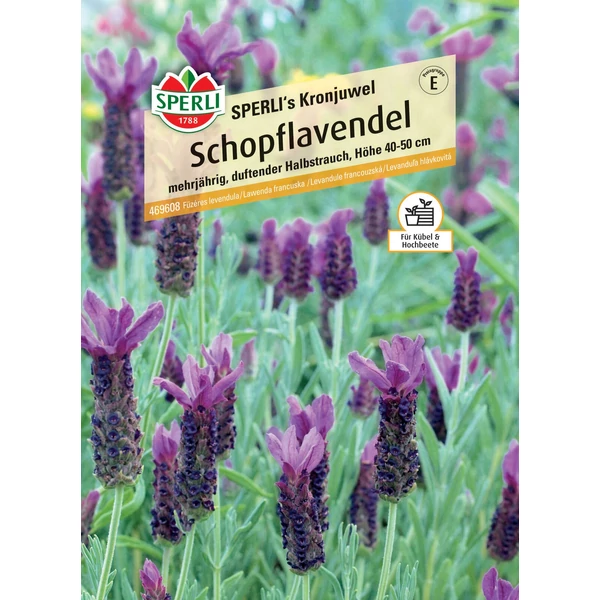 Sperli Kronjuwel füzéres levendula vetőmag