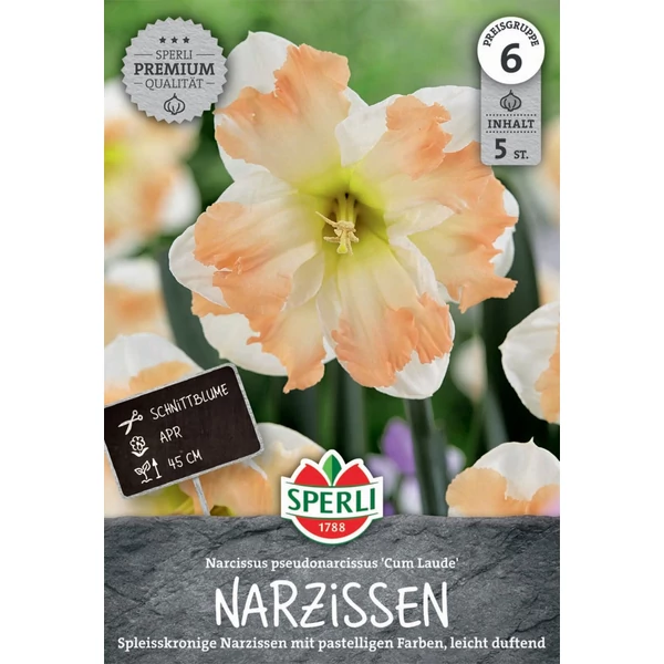 Cum Laude hasadt koronájú prémium nárcisz virághagyma