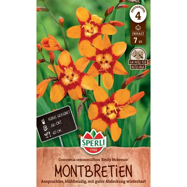 Sperli Emily McKenzie nagyvirágú crocosmia/sáfrányfű virághagyma