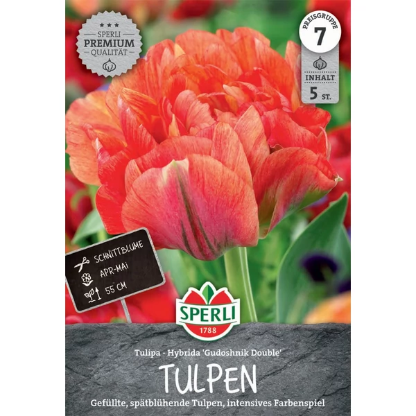 Sperli Gudoshnik Double kései teltvirágú tulipán virághagyma