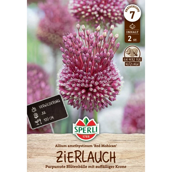 Sperli Red Mohican díszhagyma virághagyma