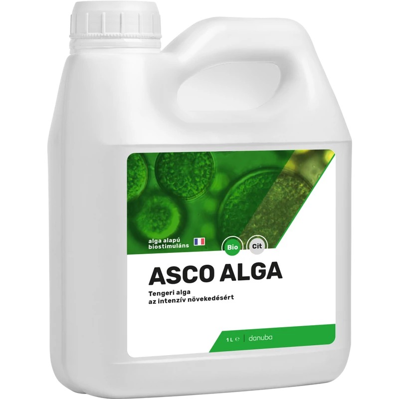 asco alga alga alapú biostimuláns