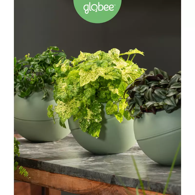 globee-függeszthető design kaspó