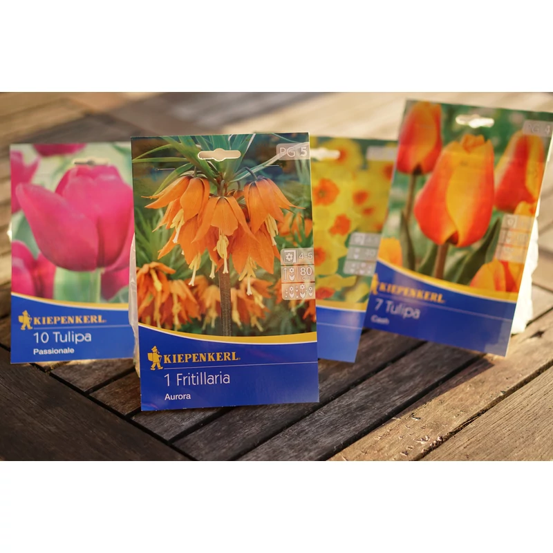 Tulipánok