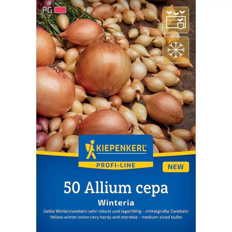 Kiepenkerl Winteria sárga télálló dughagymá