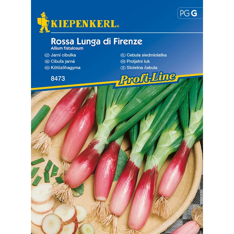 Kötözőhagyma