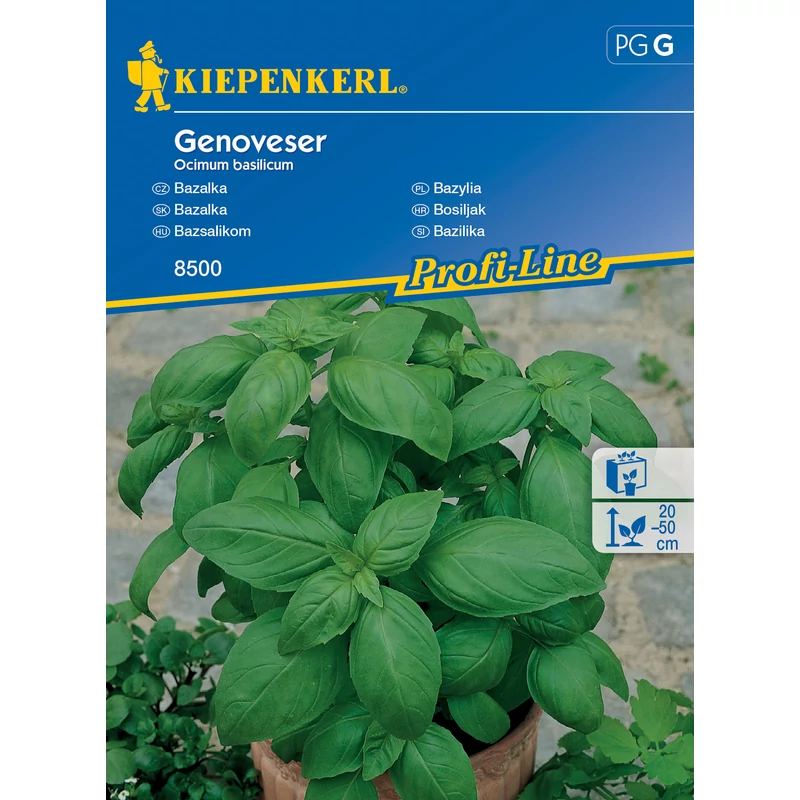 Genoveser bazsalikom