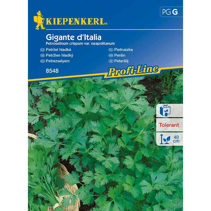 Gigante d'Italia petrezselyem