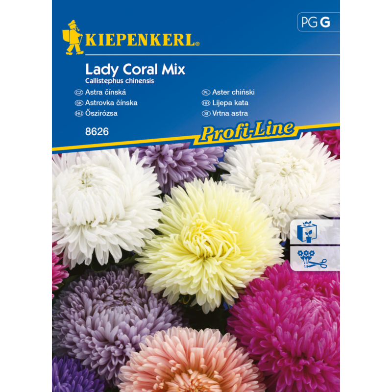 Lady Coral mix őszirózsa vetőmag