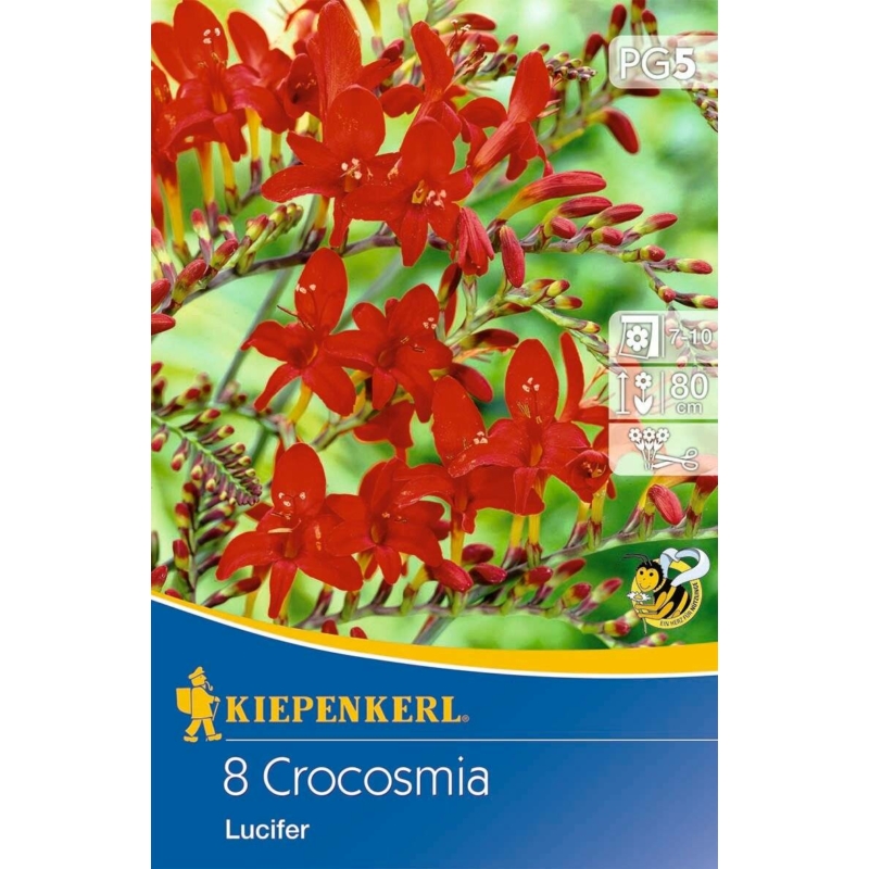 Crocosmia Lucifer sáfrányfű virághagymák