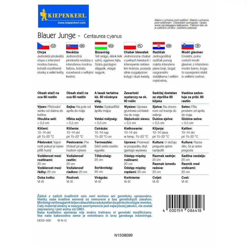 Blauer Junge búzavirág vetőmag