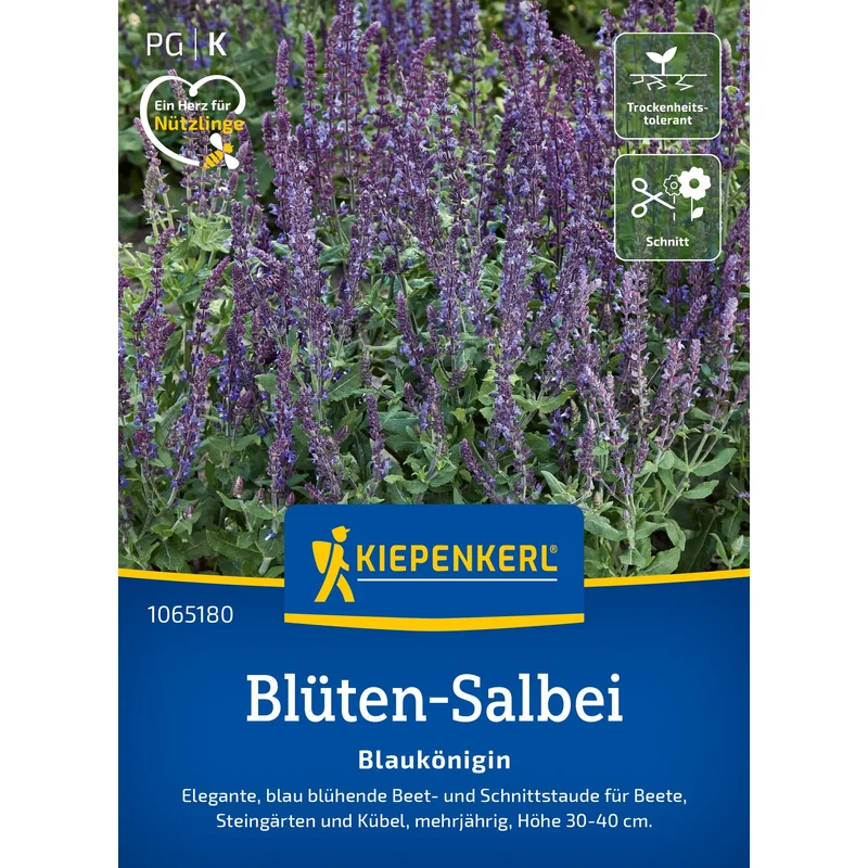 kiepenkerl blaukönigin ligeti zsálya virágmag