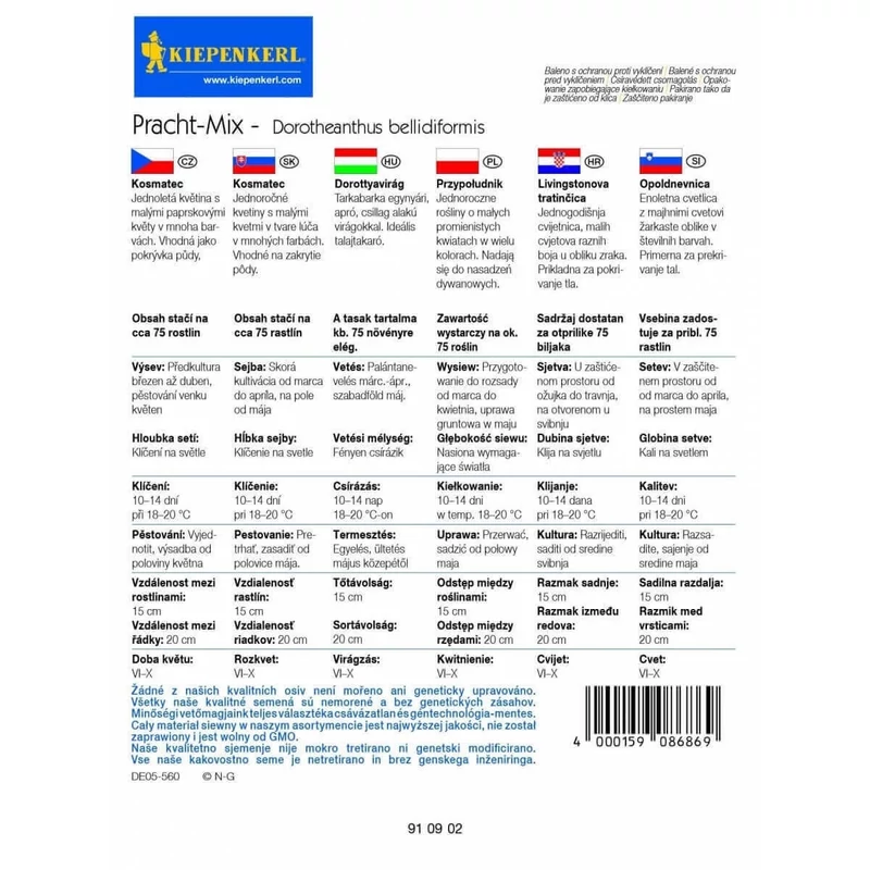 dorottyavirág vetőmag