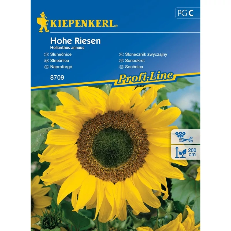 hohe riesen napraforgó vetőmag