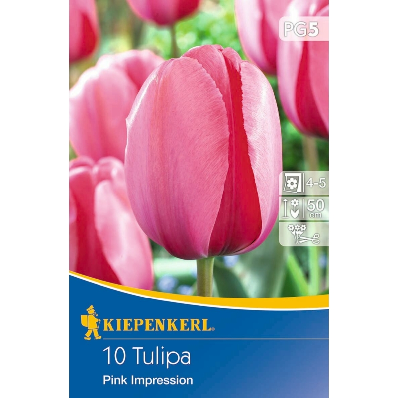 kiepenkerl pink impression tulipán virághagymák
