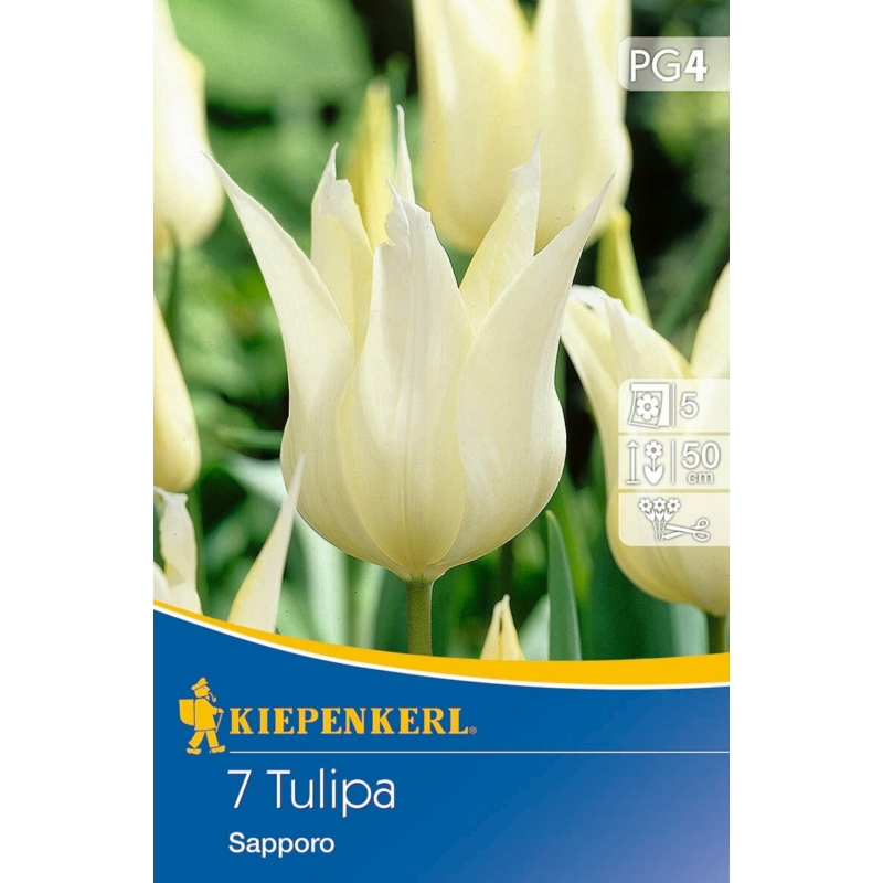 kiepenkerl sapporo liliomvirágú tulipán virághagymák