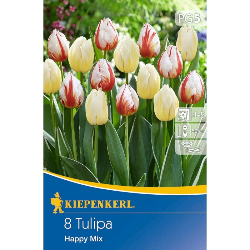 kiepenkerl happy mix vegyes tulipán virághagymák
