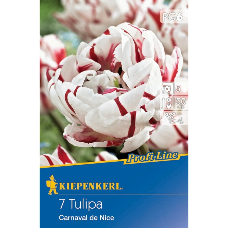 Kiepenkerl Carneval de Nice tulipánhagymák