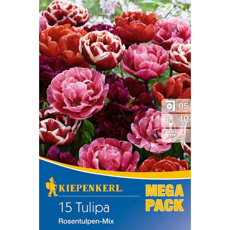 kiepenkerl rosentulpen-mix vegyes tulipán virághagymák megapack