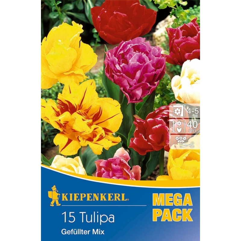 kiepenkerl teltvirágú (gefüllter-mix) tulipán színkeverék mega pack