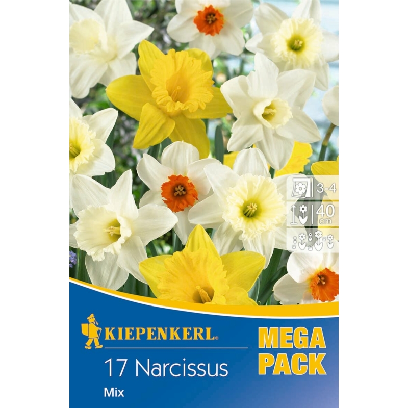 kiepenkerl nagyvirágú nárcisz virághagymák mix mega pack