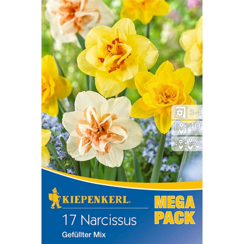 kiepenkerl gefüllter mix vegyes nárcisz virághagymák mega pack