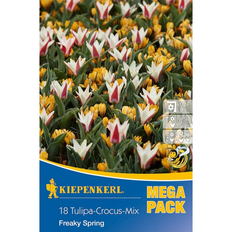 kiepenkerl freaky spring tulipán/krókusz virághagyma összeállítás megapack