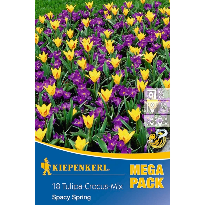 kiepenkerl tulipán/krókusz spacy spring virághagyma összeállítás megapack