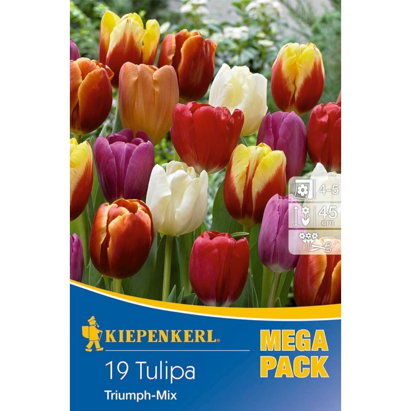 kiepenkerl triumph-mix vegyes tulipán virághagymák mega pack