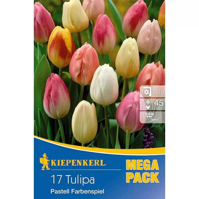 kiepenkerl pastell farbenspiel vegyes tulipán virághagyma