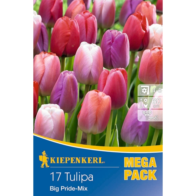 kiepenkerl big pride mix vegyes tulipán virághagymák megapack