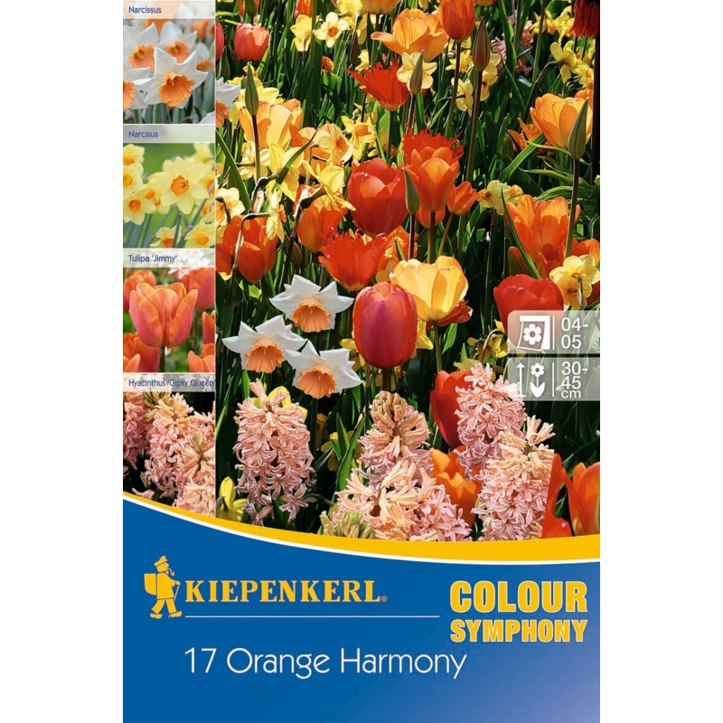 kiepenkerl orange harmony vegyes virághagyma összeállítás