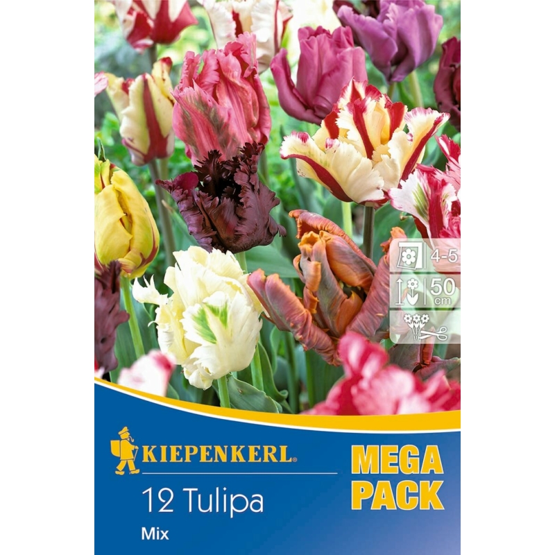 kiepenkerl papagáj tulipán mix mega pack