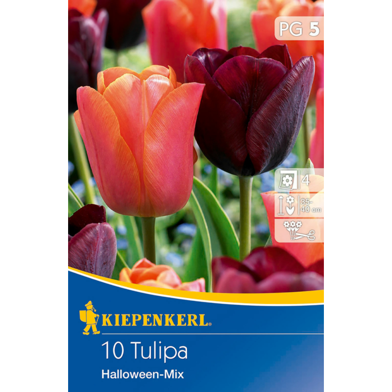 kiepenkerl halloween mix vegyes tulipán virághagymák