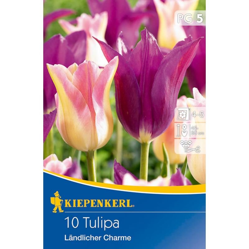 kiepenkerl tulipa landlicher charme tulipán hagymák