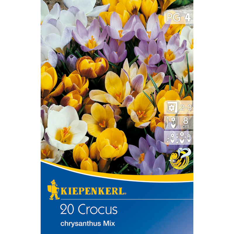 kiepenkerl crocus chrysantus mix vegyes krókusz virághagyma