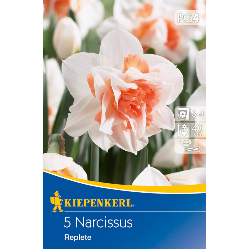 kiepenkerl narcissus replete teltvirágú nárcisz virághagymák